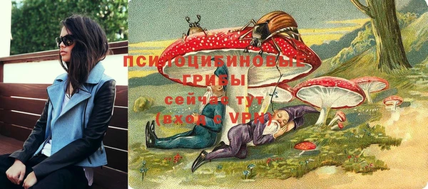 прущая мука Корсаков