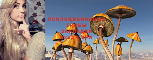 соль ск Коряжма