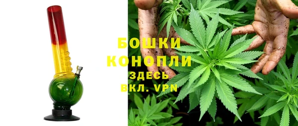 прущая мука Корсаков