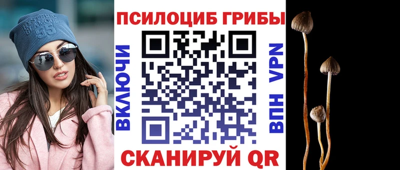 где продают Хабаровск Псилоцибиновые грибы мухоморы