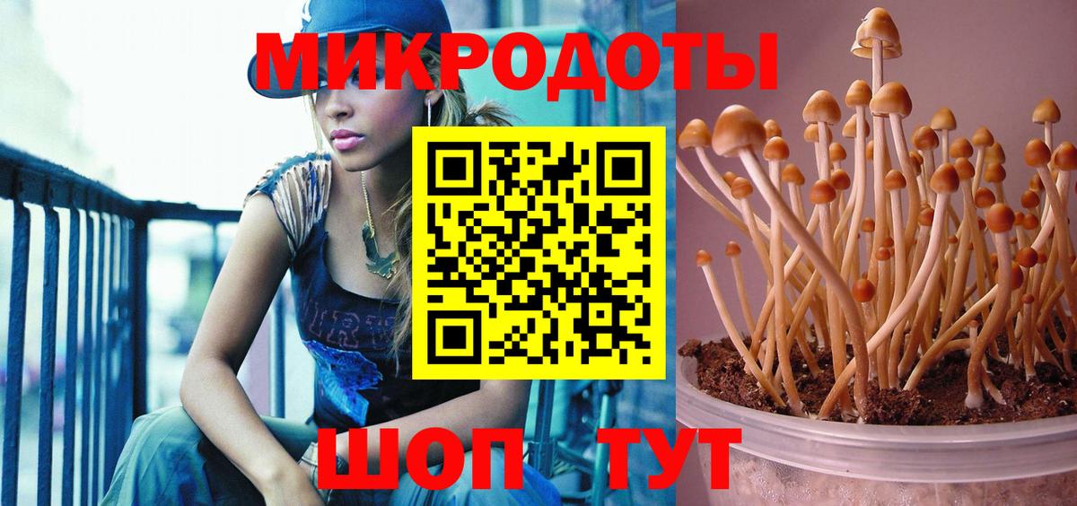 Псилоцибиновые грибы мухоморы  Вход с VPN  Хабаровск  Псилоцибиновые грибы мицелий 